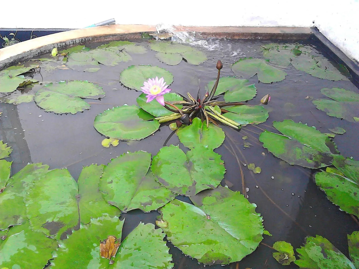 Miheen Hotel and Resort