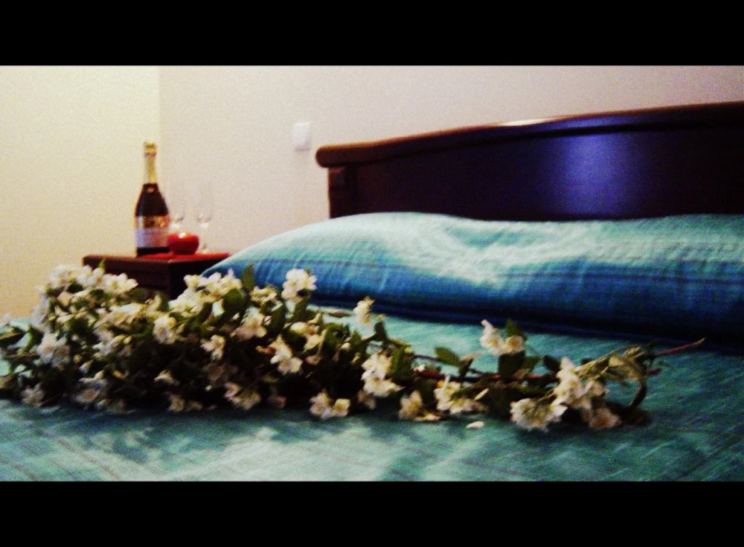 Hotel-Restaurant Complex Vensky