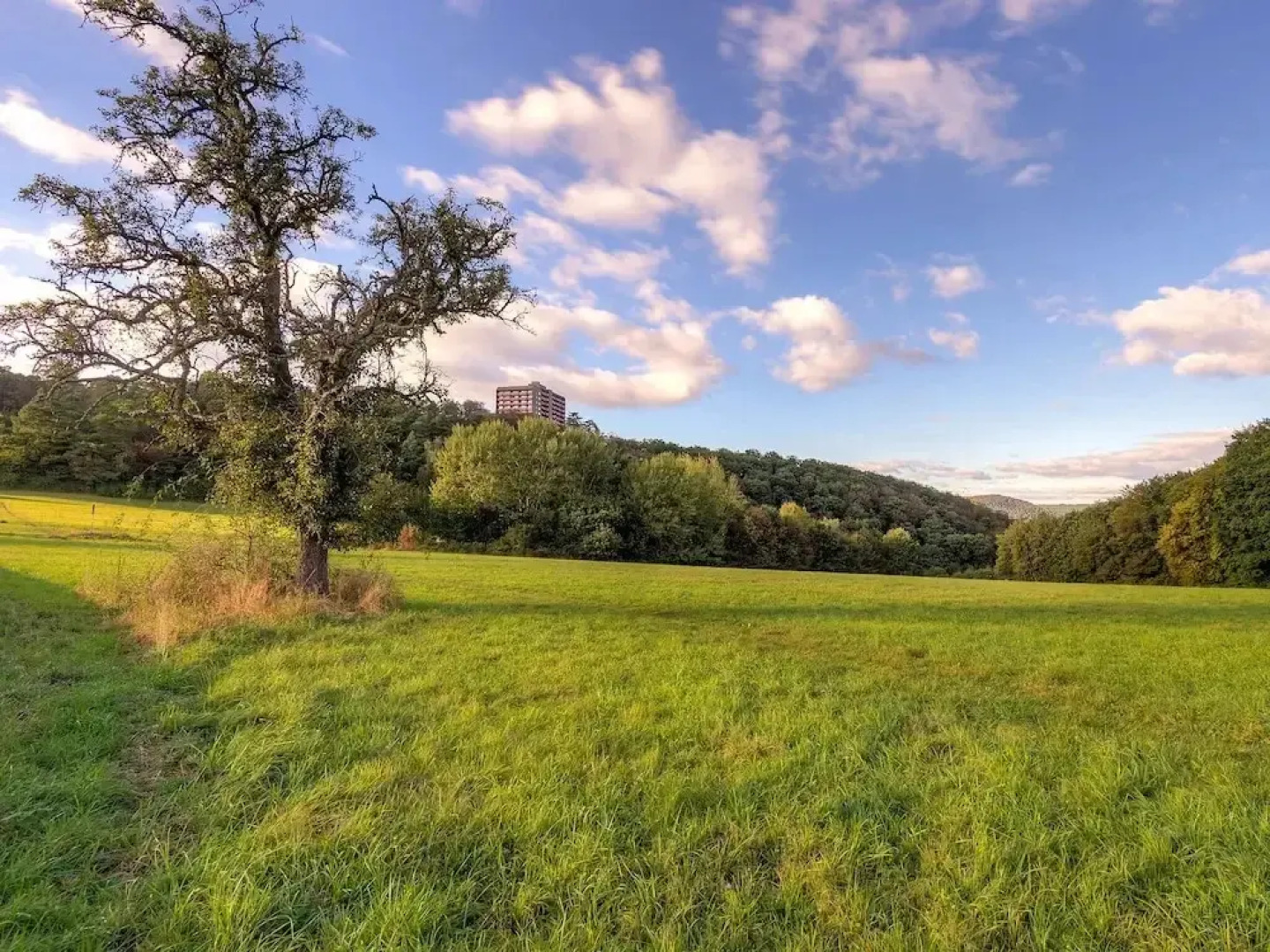 Ferienpark Rhein-Lahn - INH 27129