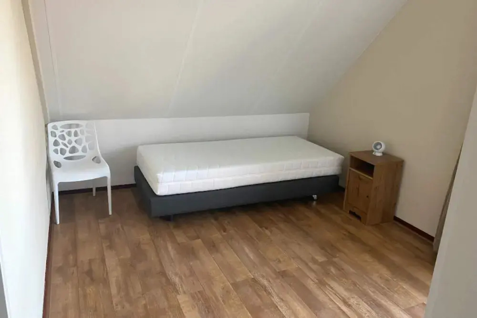 HVZ Narcis 10p in Heinkenszand