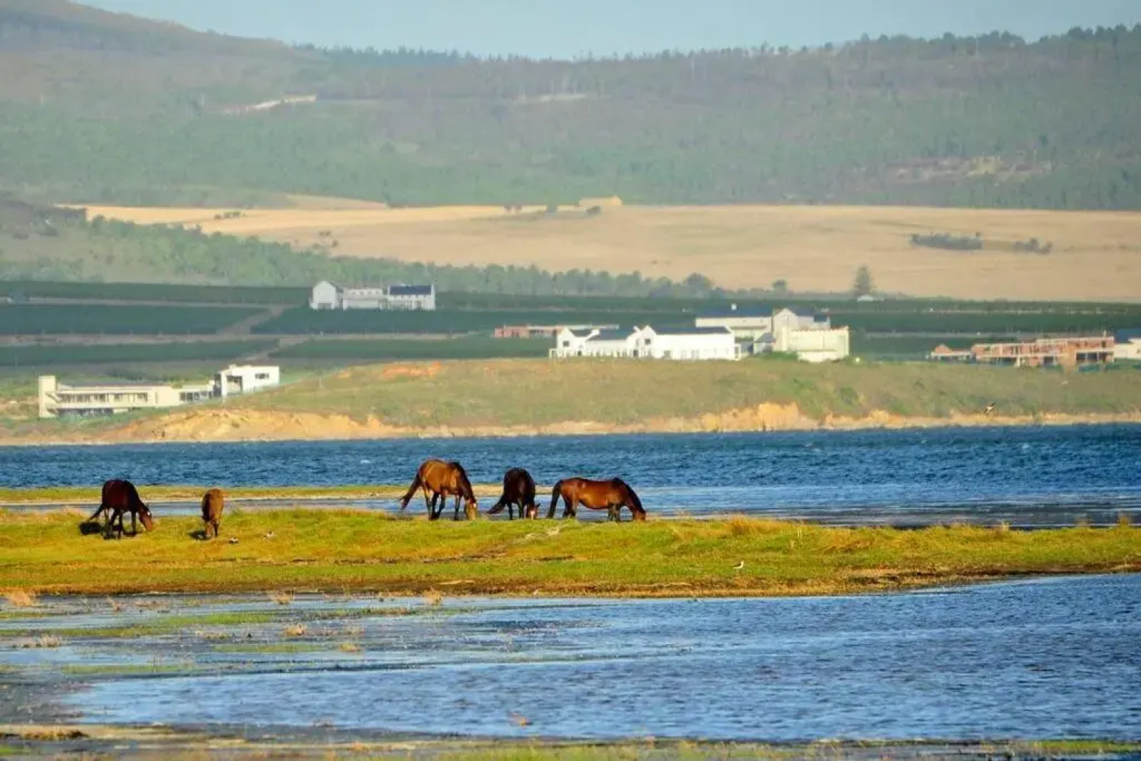 The Whale and Waddler - Unit with a view - and solar energy support