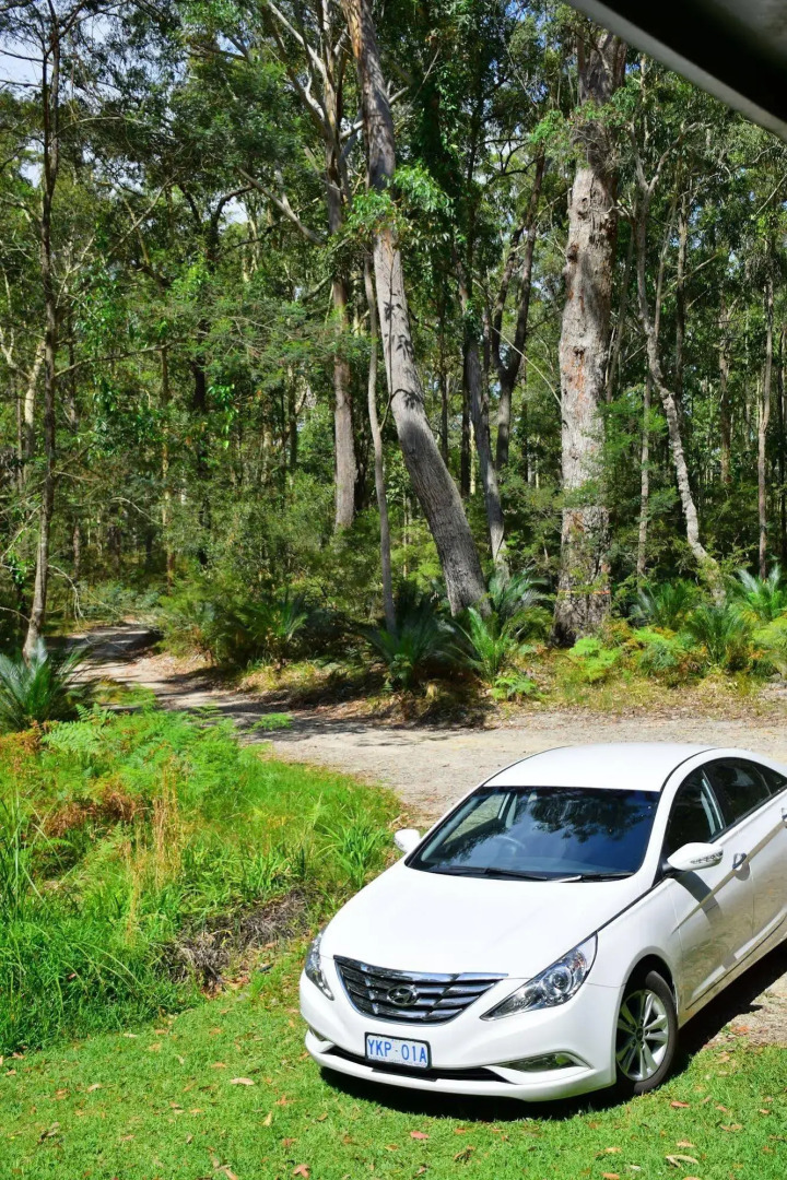 The Bower at Broulee