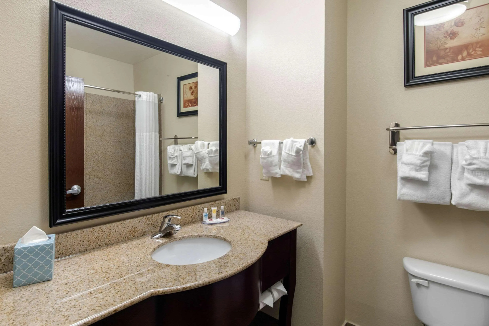 Comfort Inn Near UNT