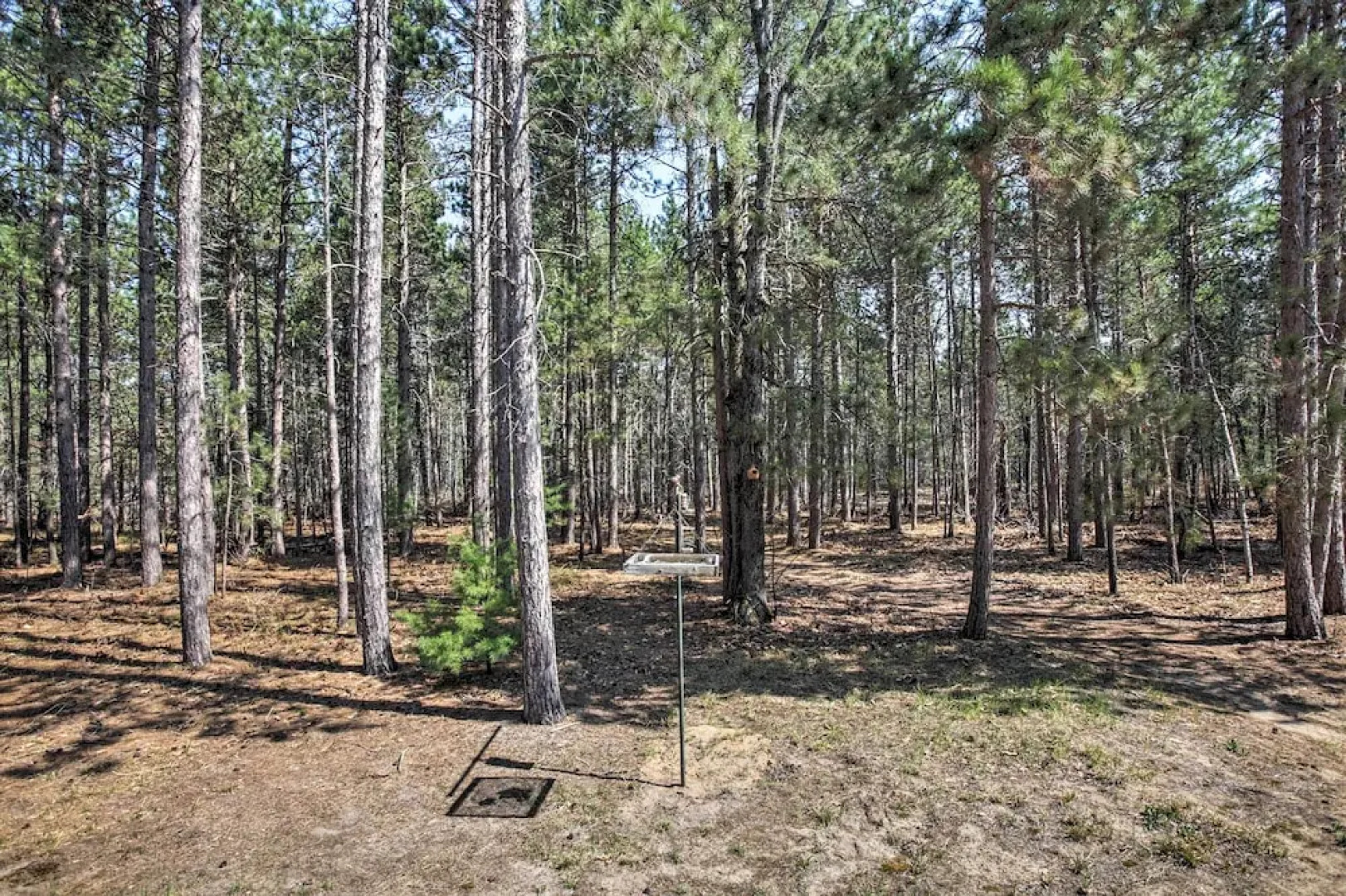 Private South Boardman Cabin on 10 Forest Acres!