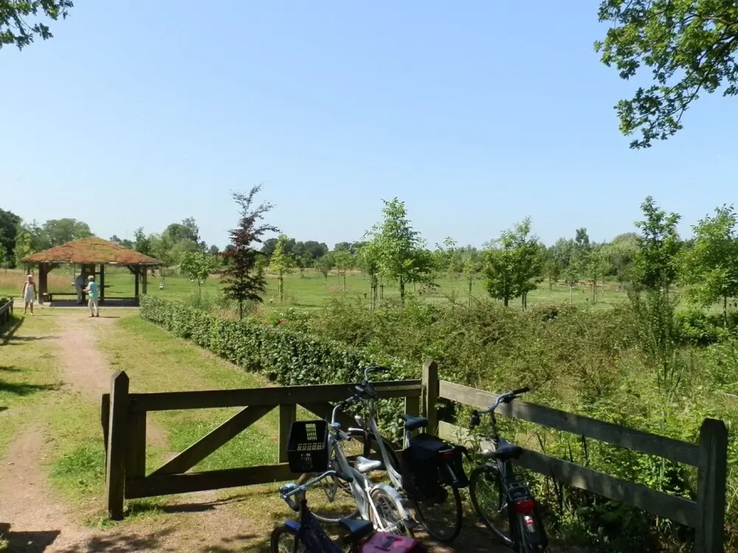 Pretty Farmhouse in Haaksbergen near Forest