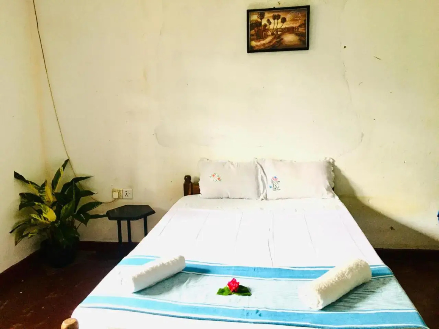 Mama Daisy's Homestay Rekawa.