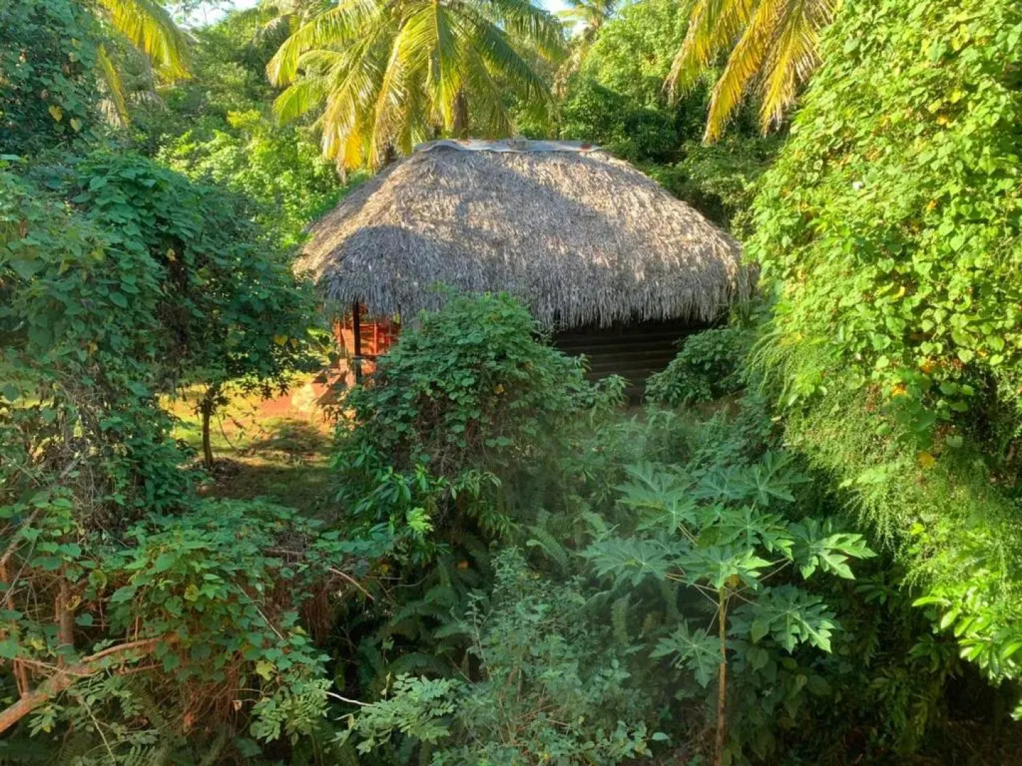 Aventura Rincon Ecolodge