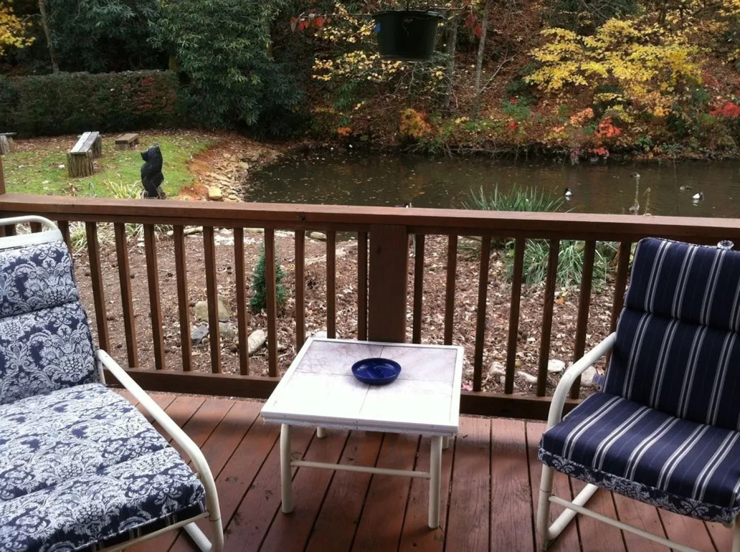 Misty Mountain Ranch B&B and Cabins