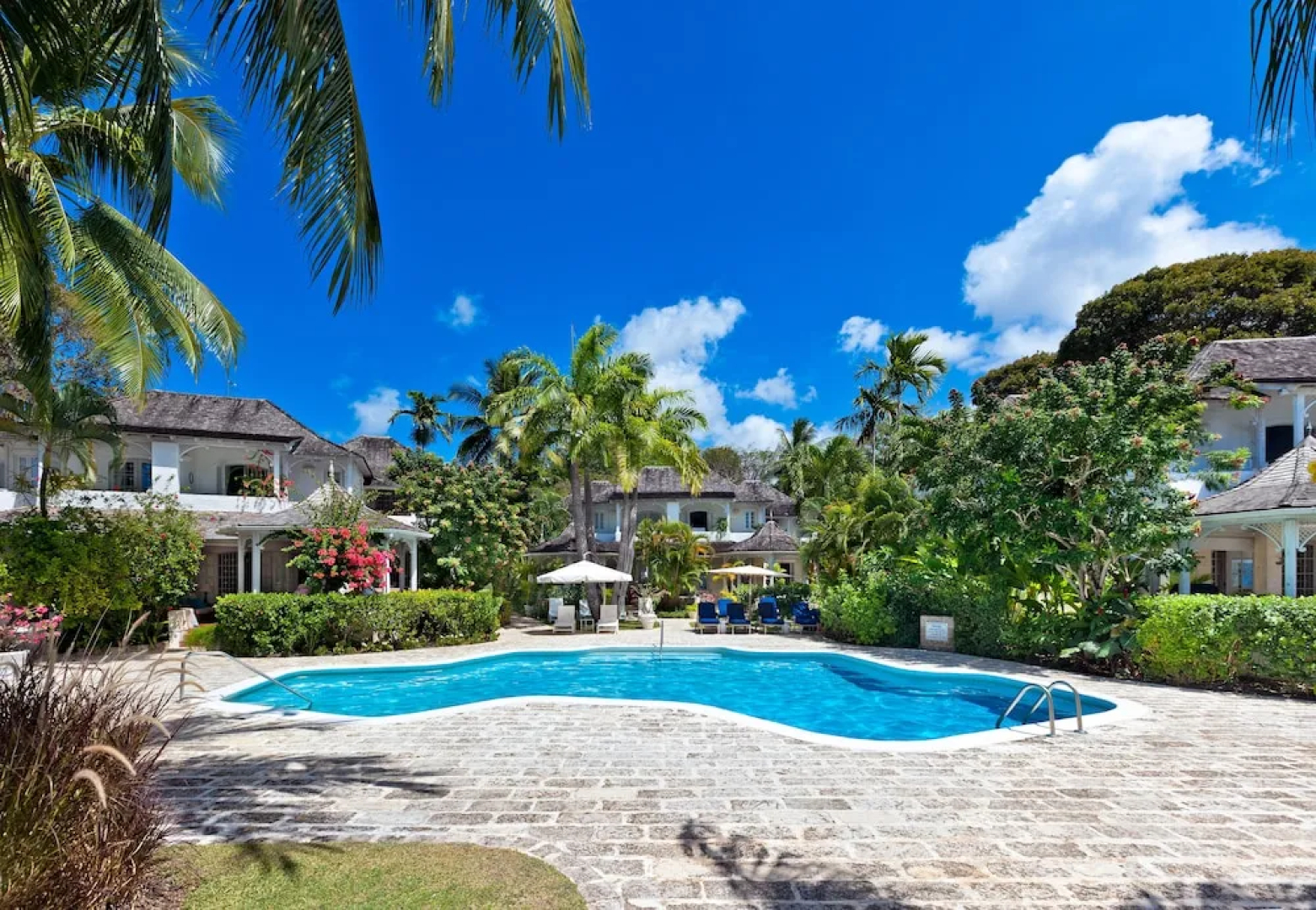 Emerald Beach 5 Aspicia by Altman