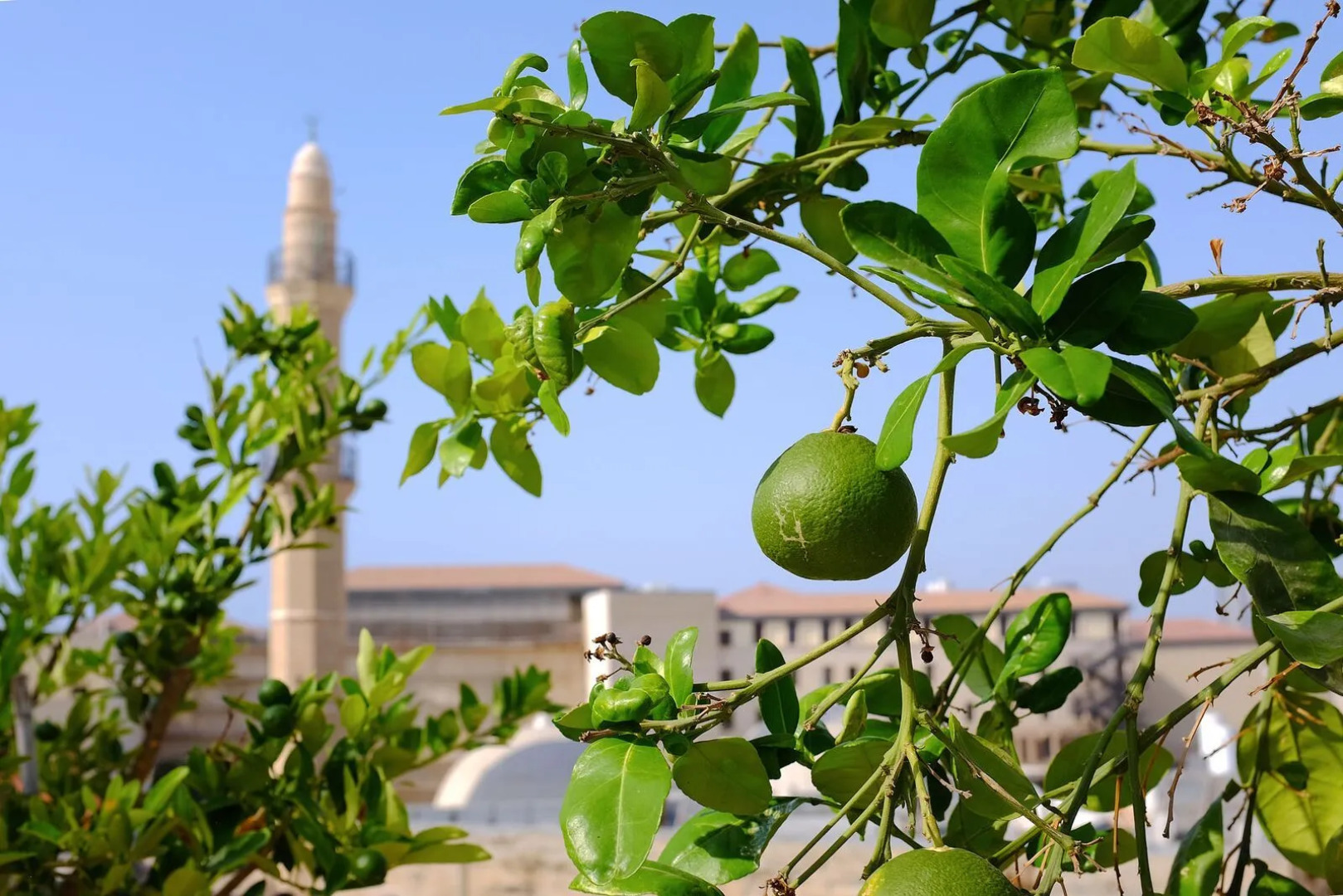 Apartment Porcelaine, 3BR, Tel Aviv, Jaffa, Hatsforfim St, #Y1