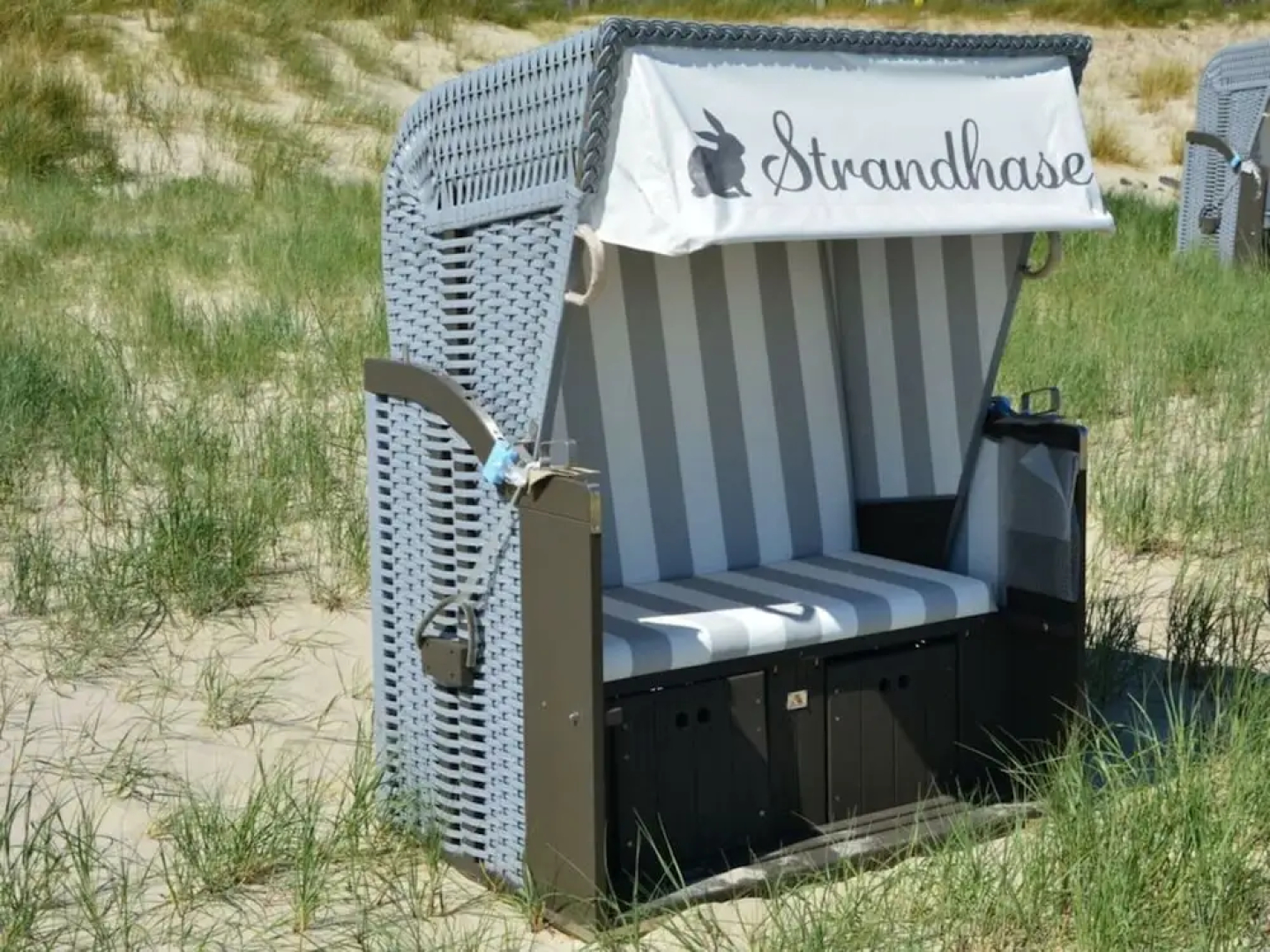 "beach Bunny" in the House on the Dune