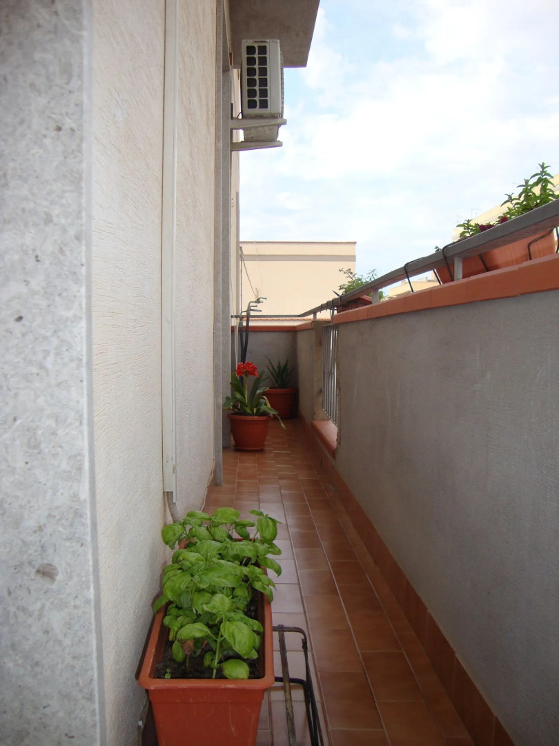 Bed and breakfast delle palme