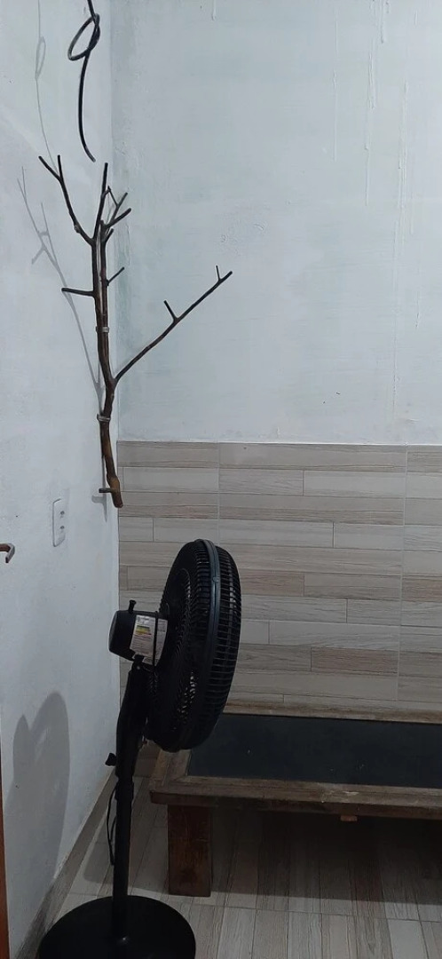 Hostel em Boas Mãos