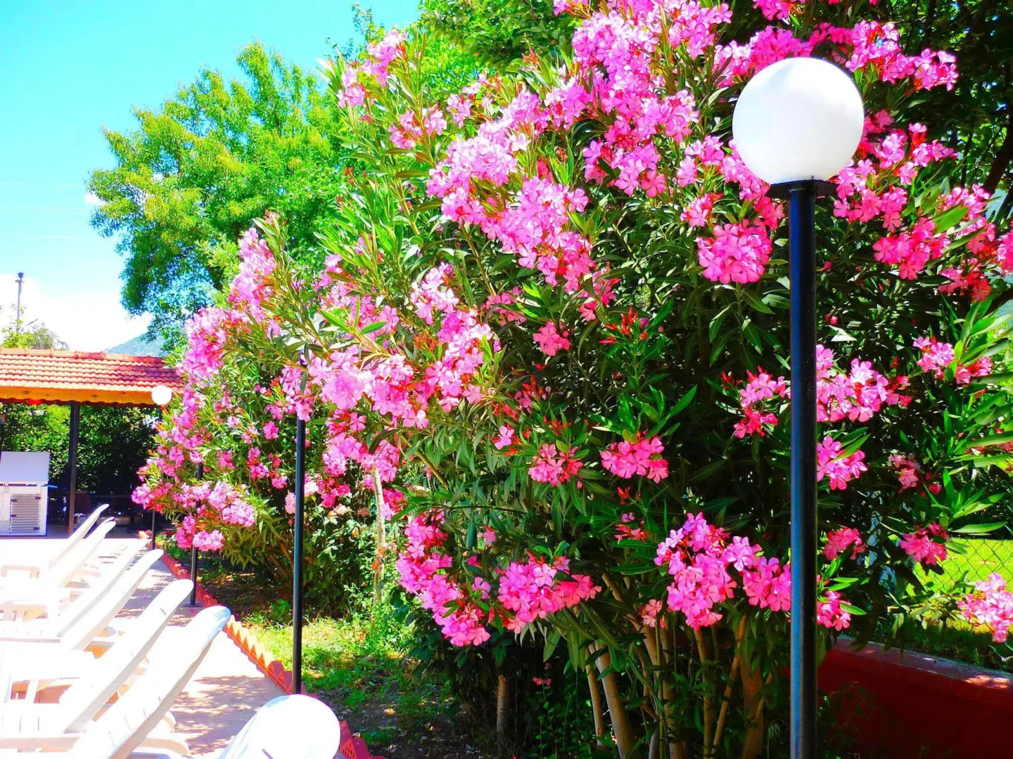 The Green Valley Hotel