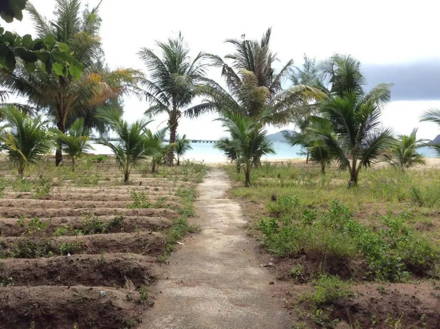 Thien Tan Star Hotel