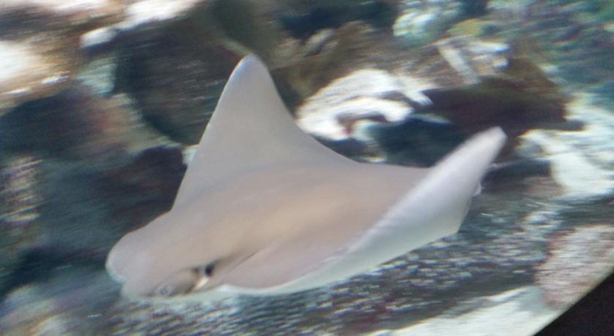 Ningaloo Lodge Exmouth