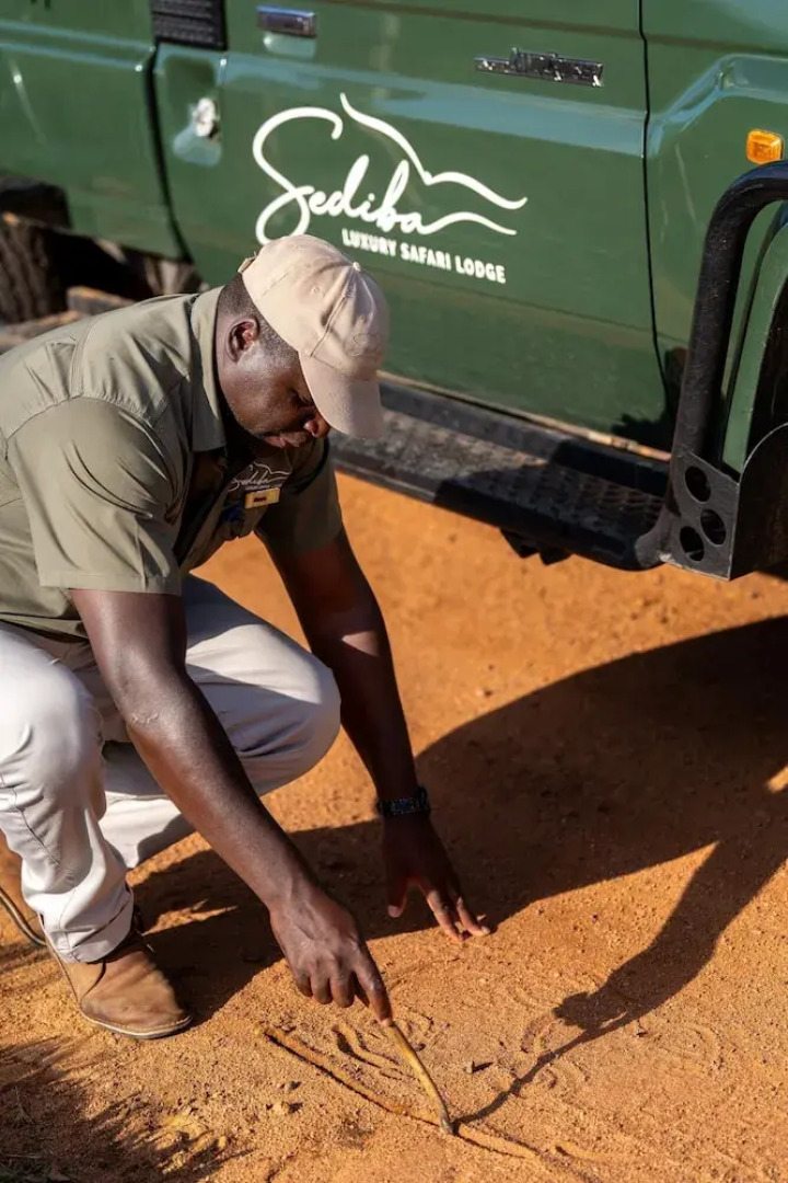 Sediba Luxury Safari Lodge