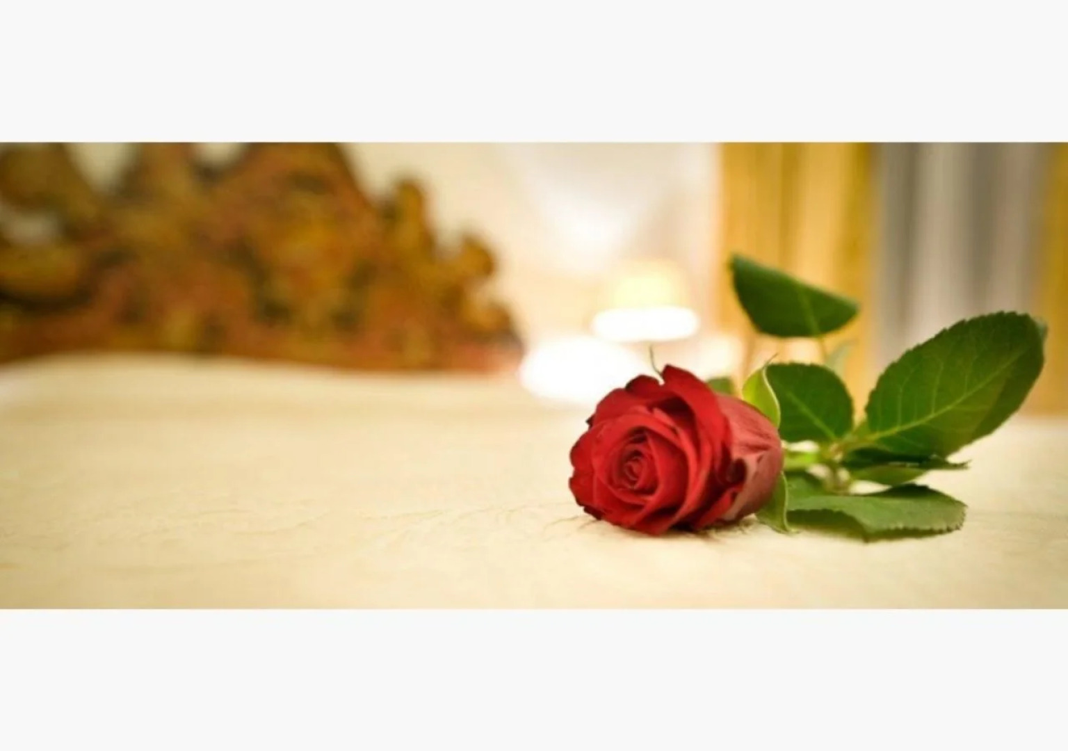 Charles Bridge Palace