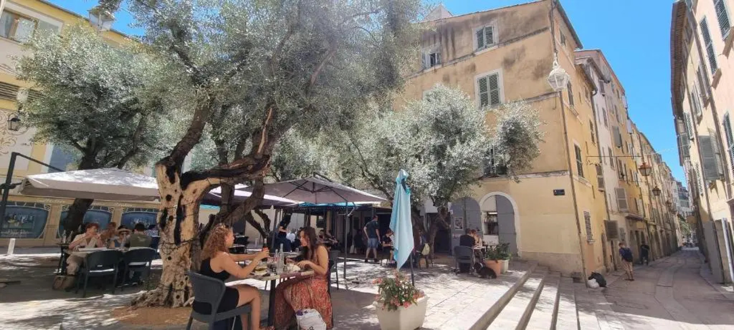 Chambre d'Hôtes sde, wc privé climatisé dans loft 80m2 Espace commun avec les habitants Salon et cuisine