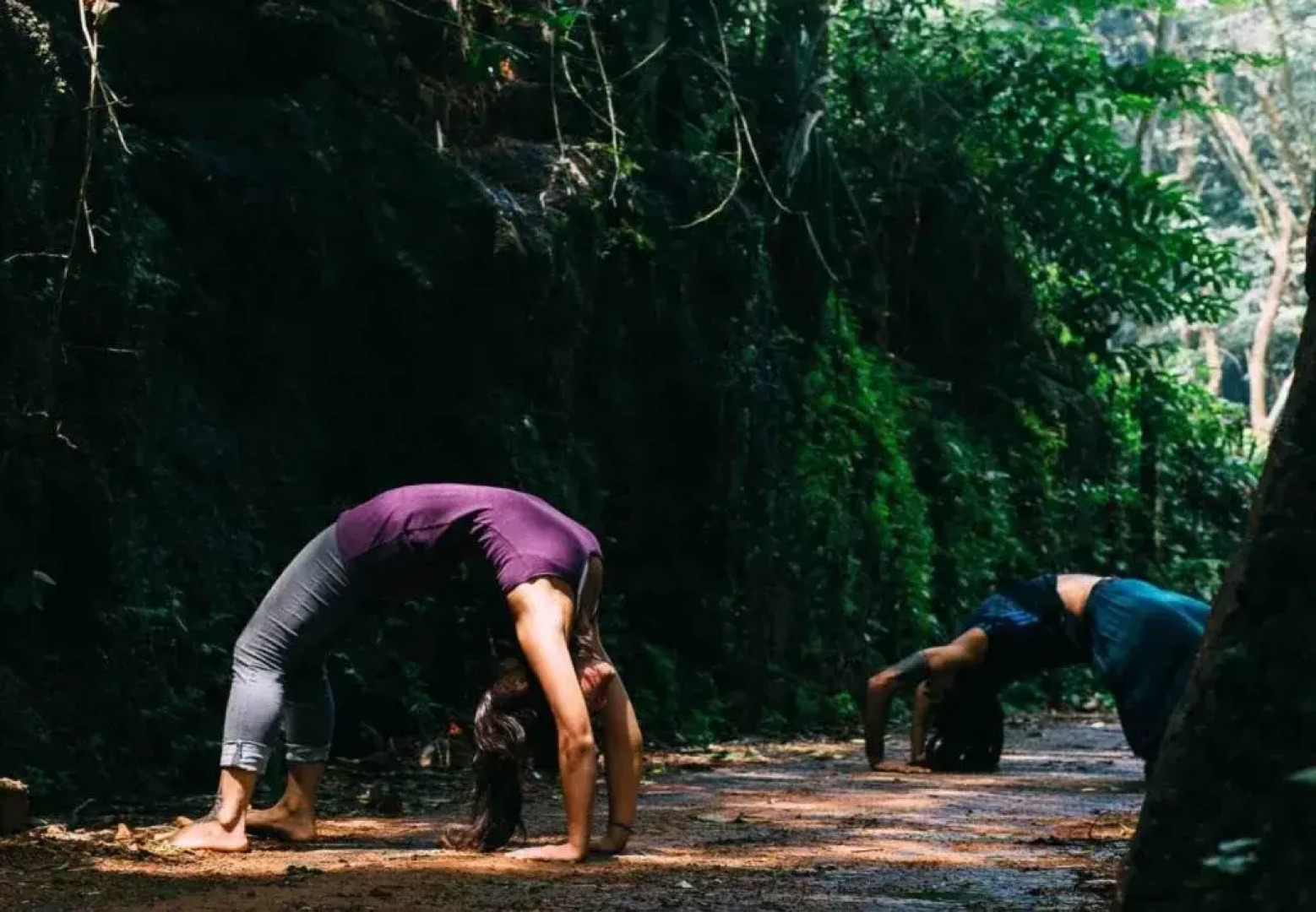 Hinterland Village Resort