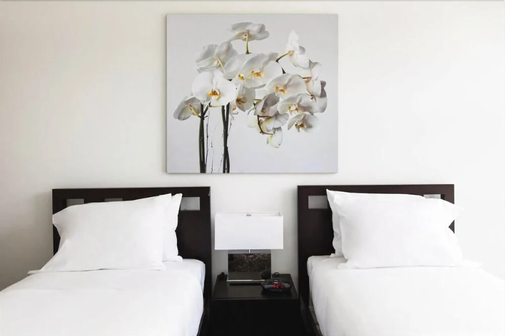 Sky City Apartments at the Novia