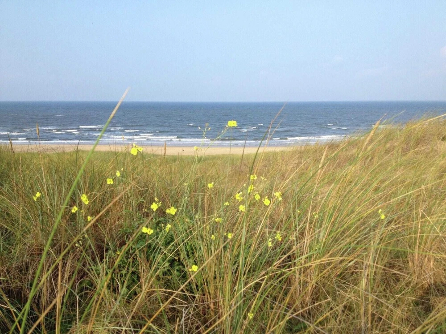 Cozy Apartment near Sea in Bergen aan Zee
