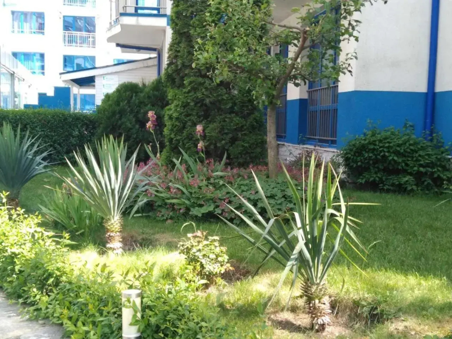 The Blue Studio ~ In a complex next to the beach