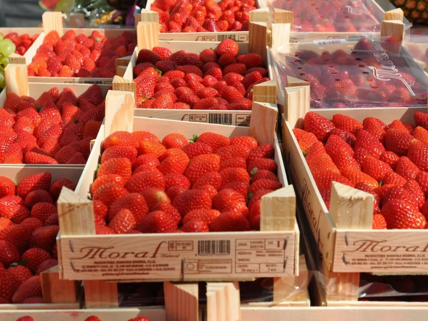 Attractive Holiday Home in Malaucène With Terrace