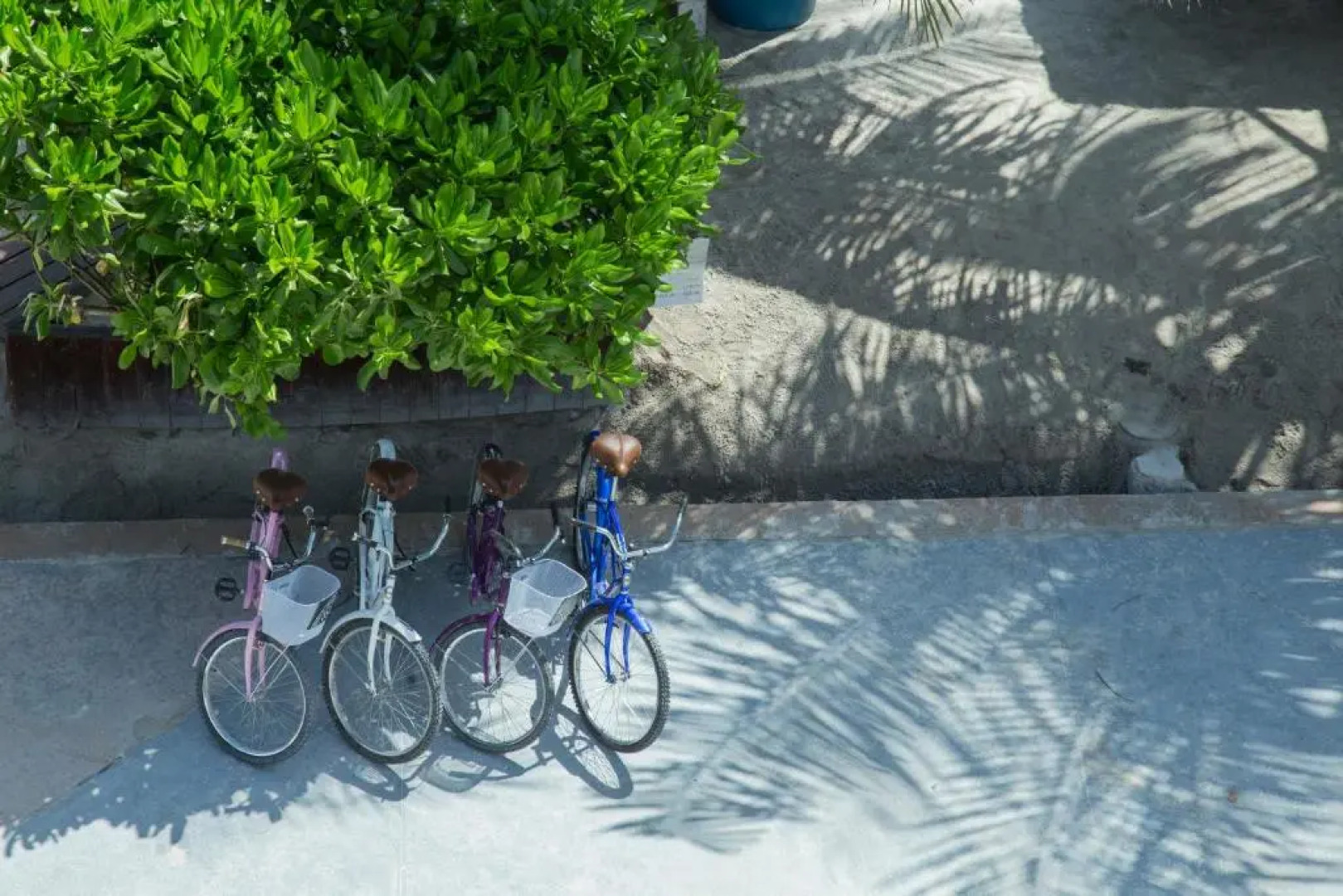 Apartments Tukano By 40 Cañones