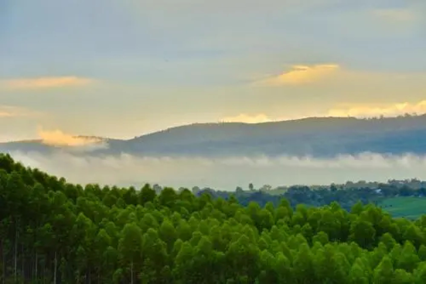 Baan Phu Luang Resort