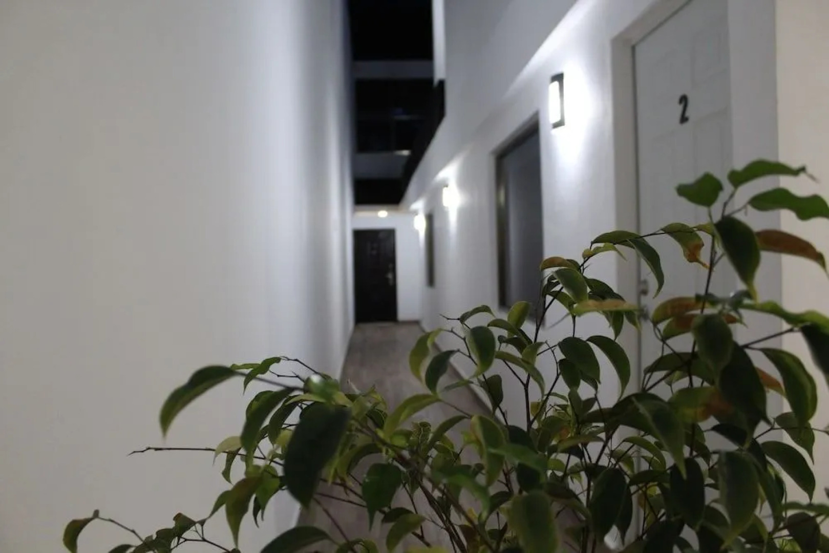 Cancun Palapas Suites