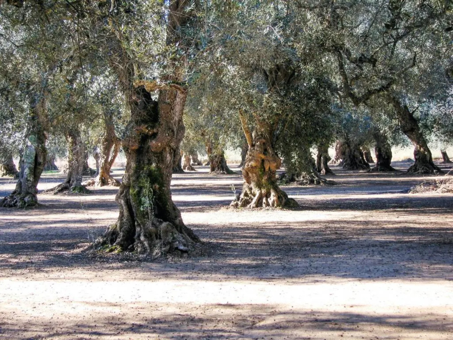 Holiday Home Via Due Luglio