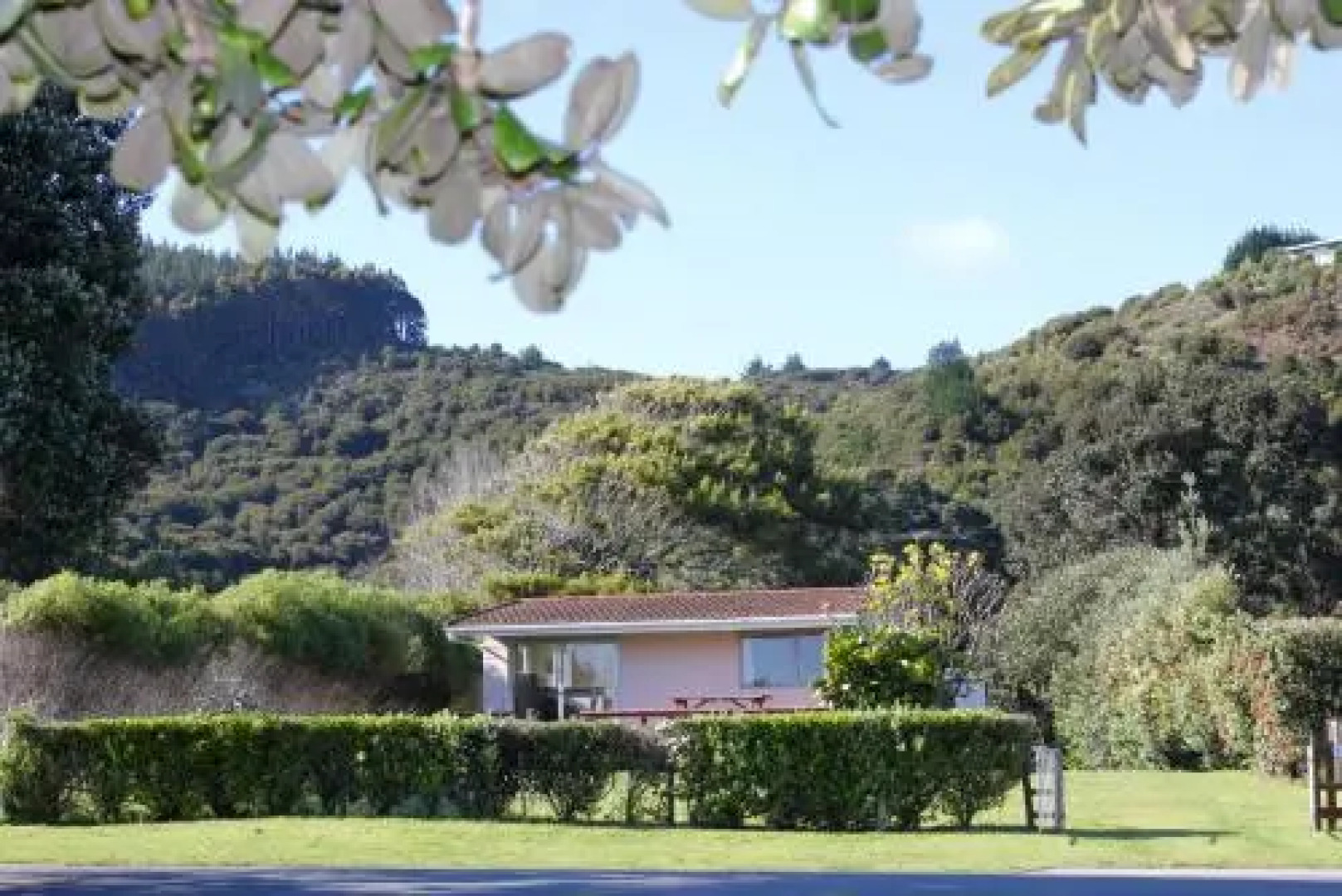 Hot Water Beach Cottage