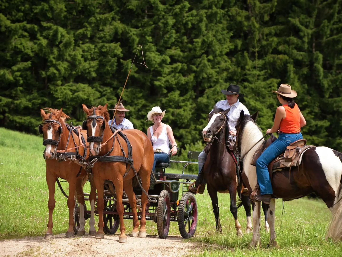 Pleasant Apartment in Gosau near Ski Area