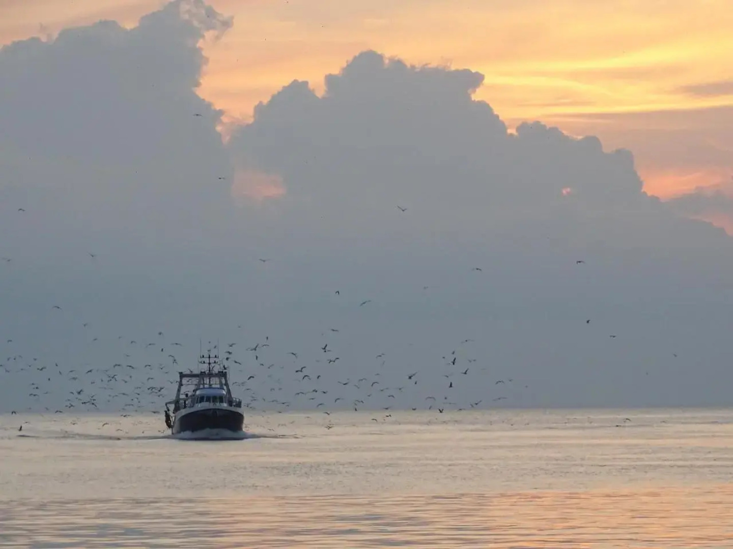 Les Rives du Lac - INH 31277