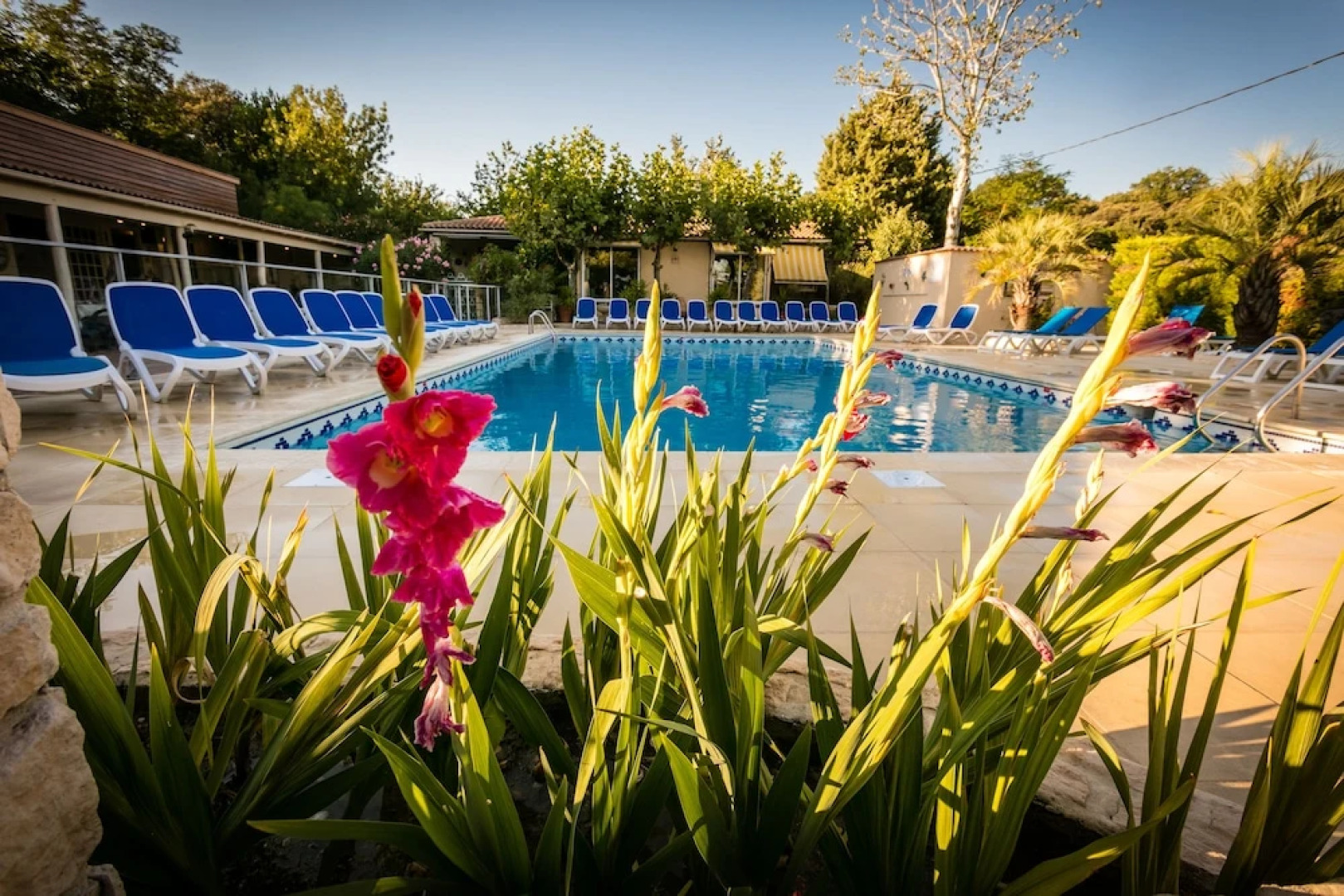 Camping Les Genêts d'Or