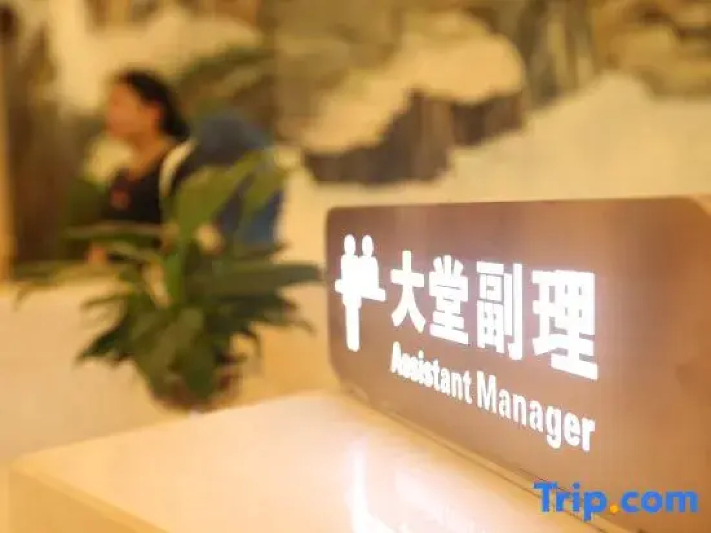 Xuanyu International Hotel