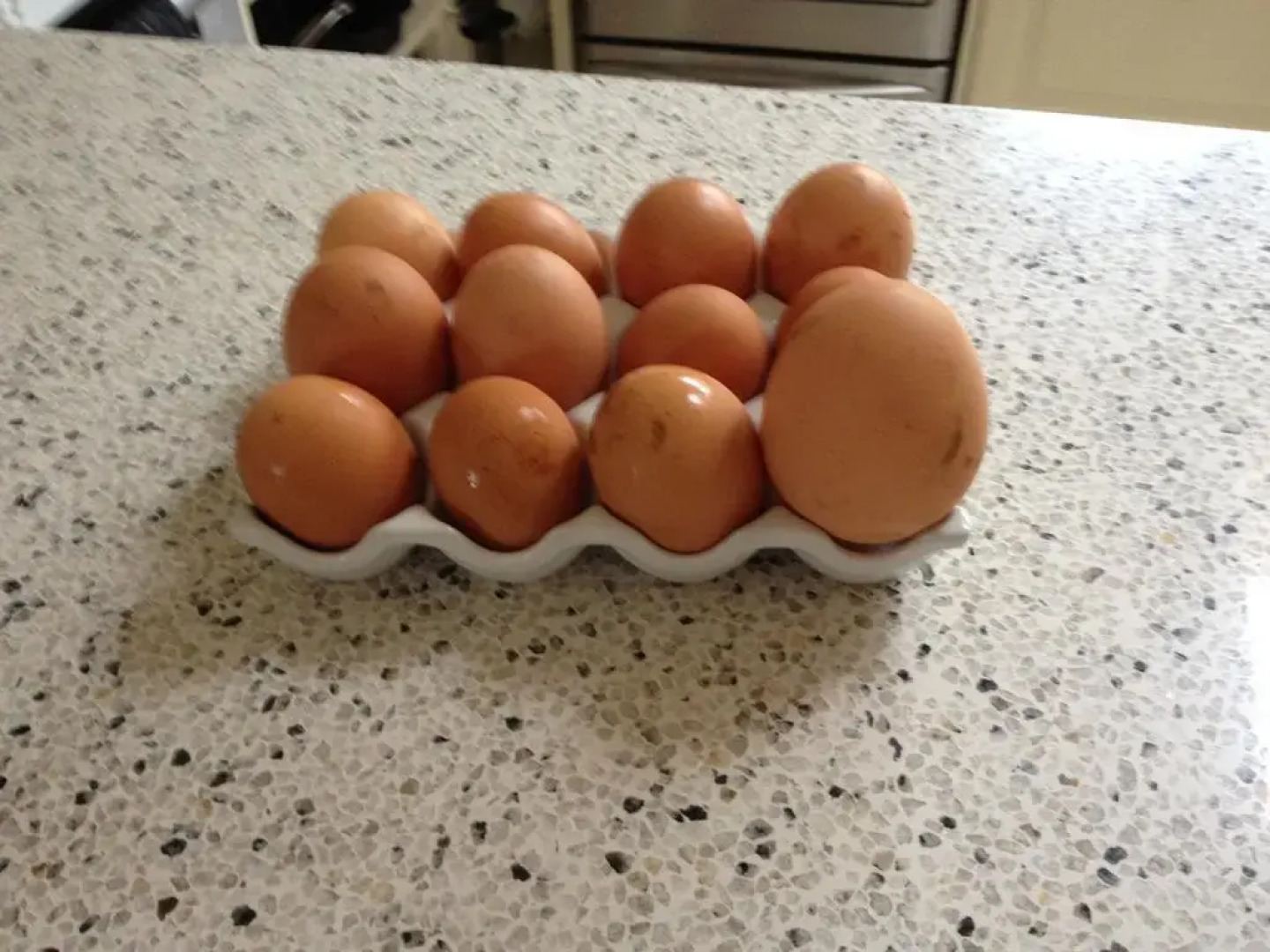 Ruapehu Country Lodge