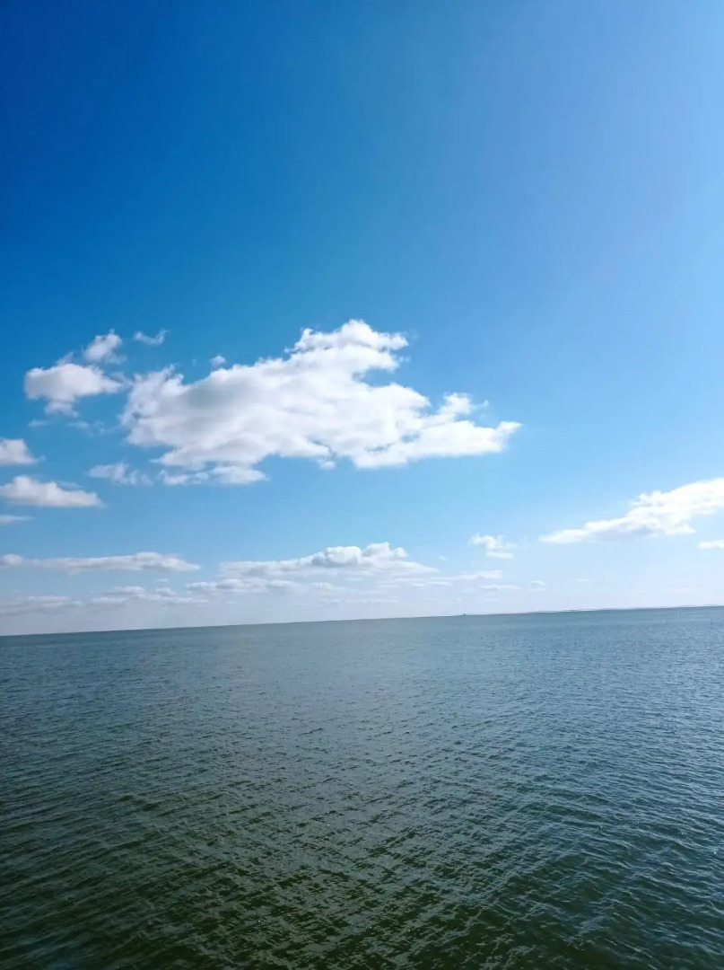 Гармония это отдых