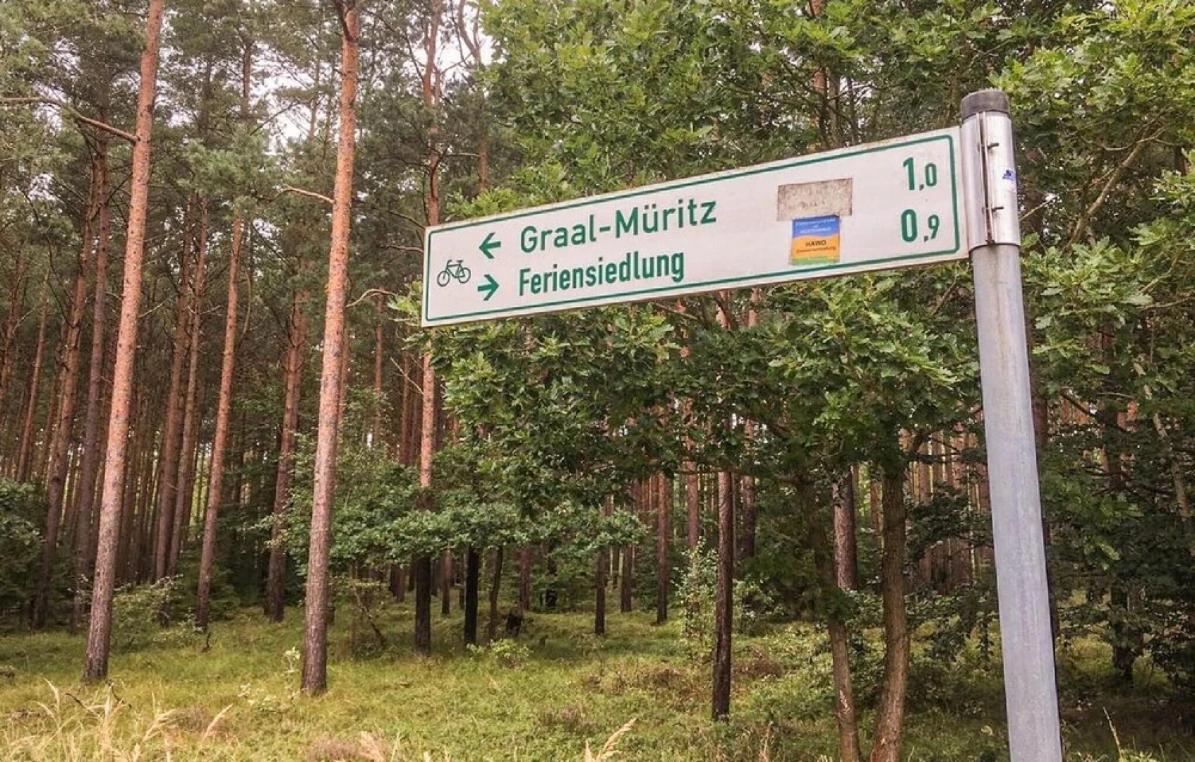 Amazing Apartment in Graal-müritz With 1 Bedrooms and Wifi