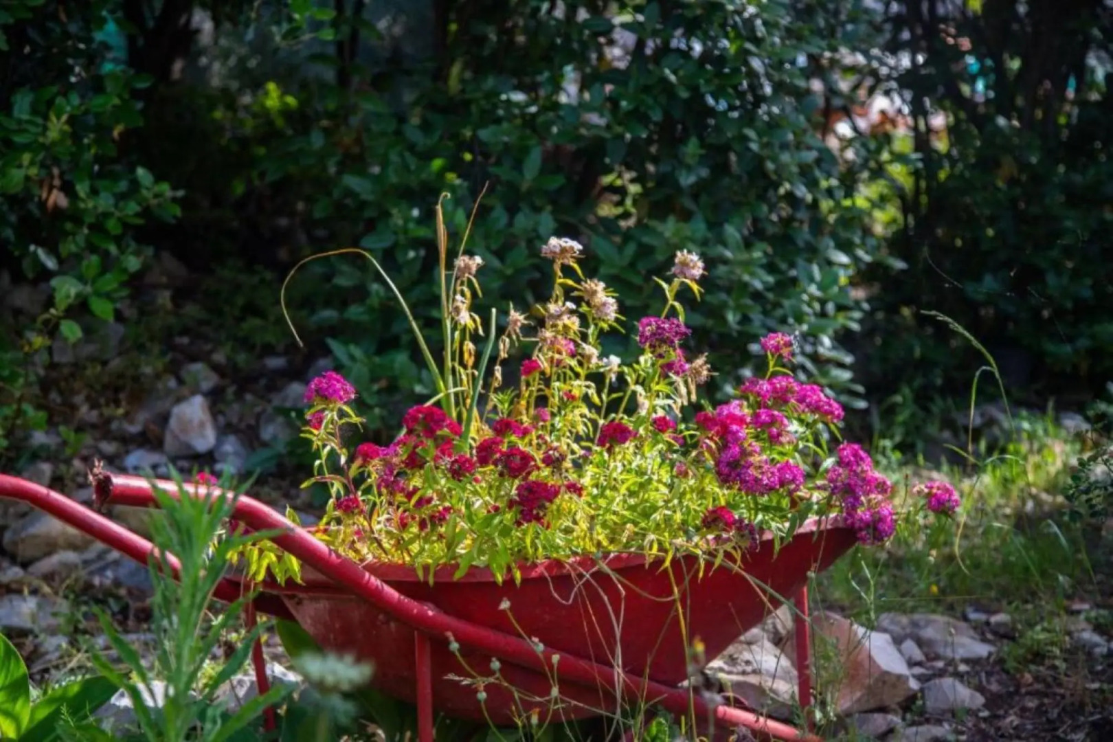 Slavka - Quite and Peaceful Location - A1 Mali