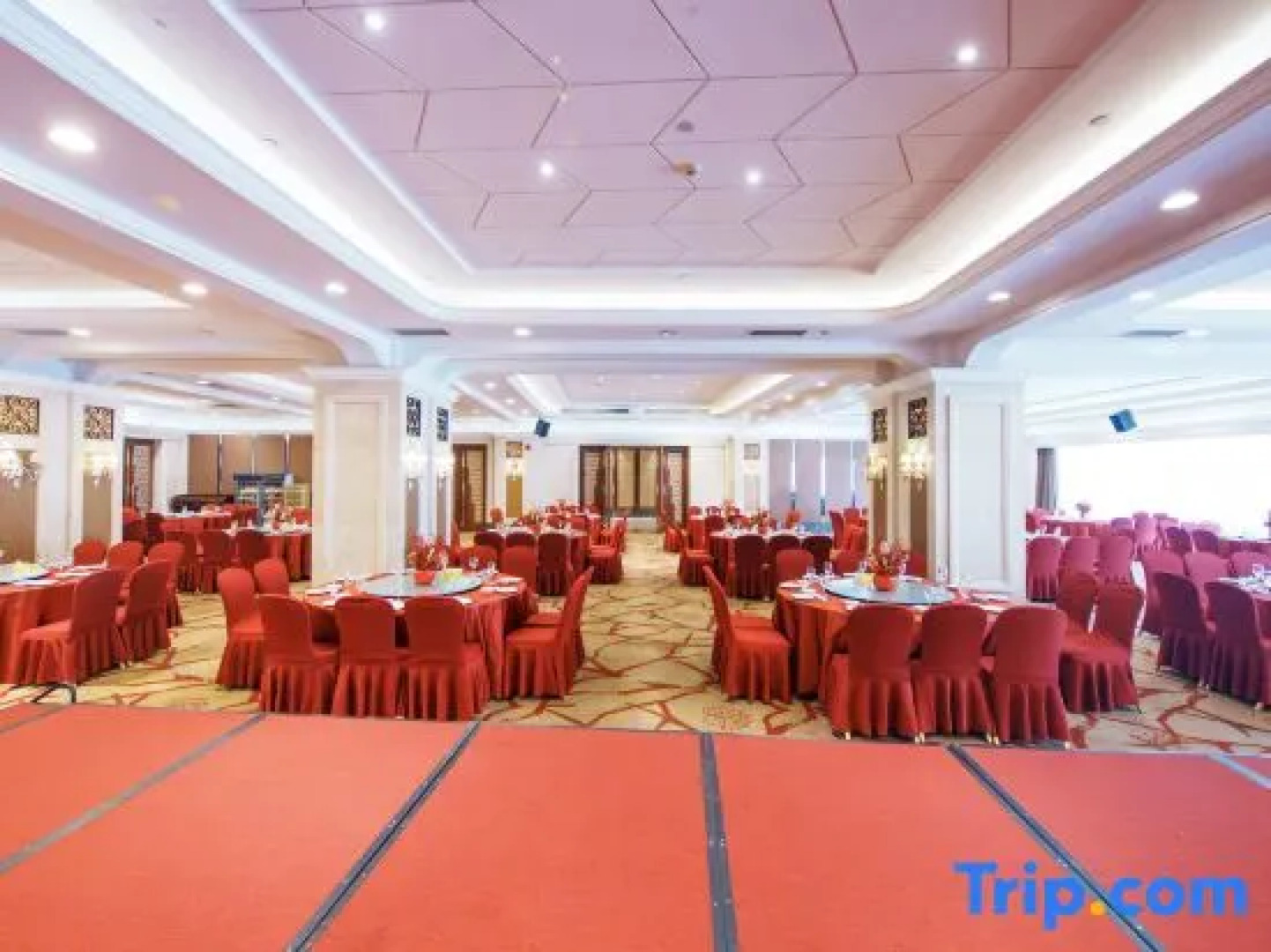 Galactic Garden International Hotel