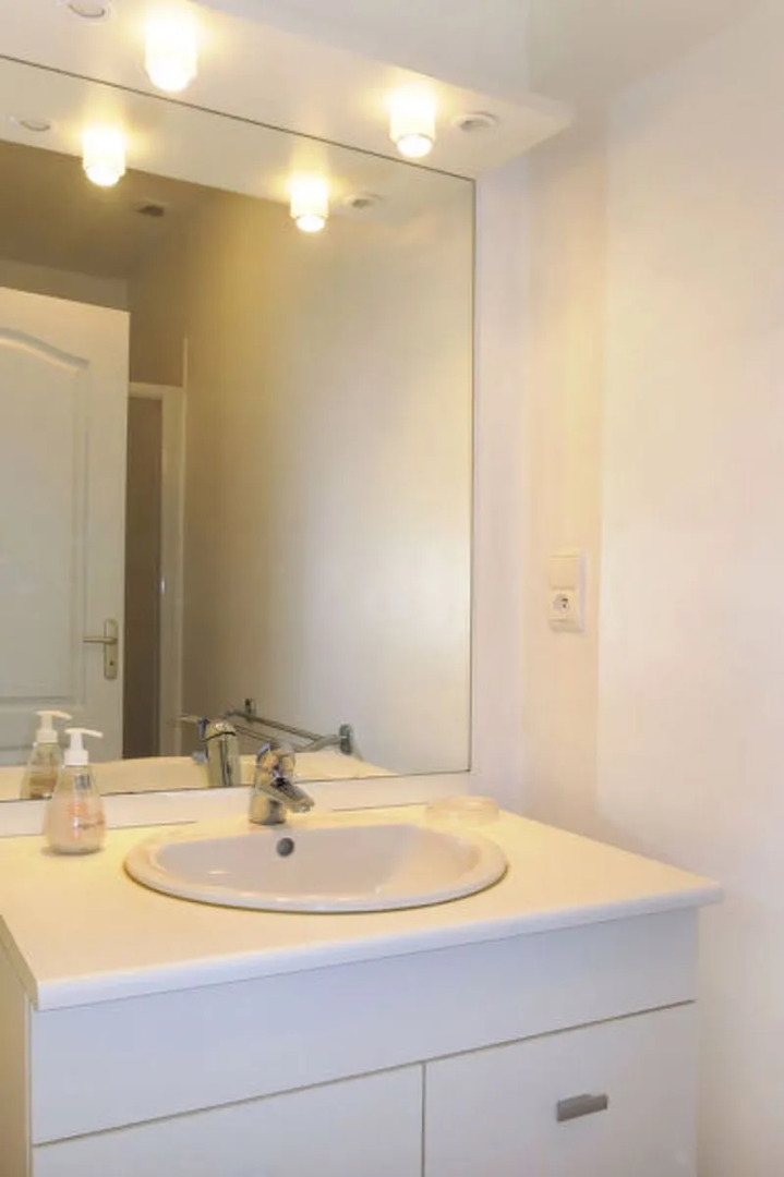 Le Petit MaiÂ®tre (LET300)