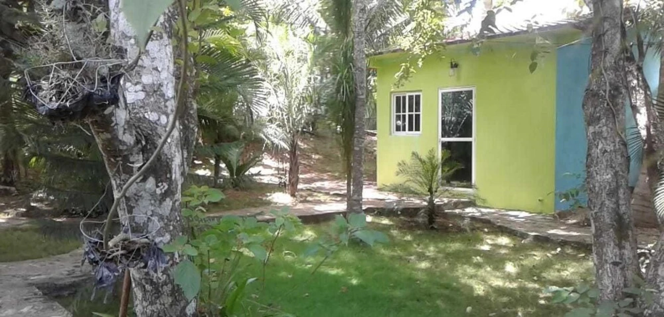 Green Jungle Hotel y Restaurante