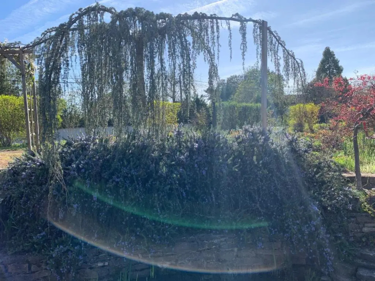 La Grenouillere (Adults Only)