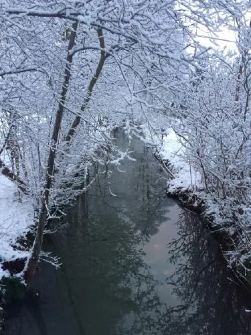 Ferienwohnungen direkt am Wasser