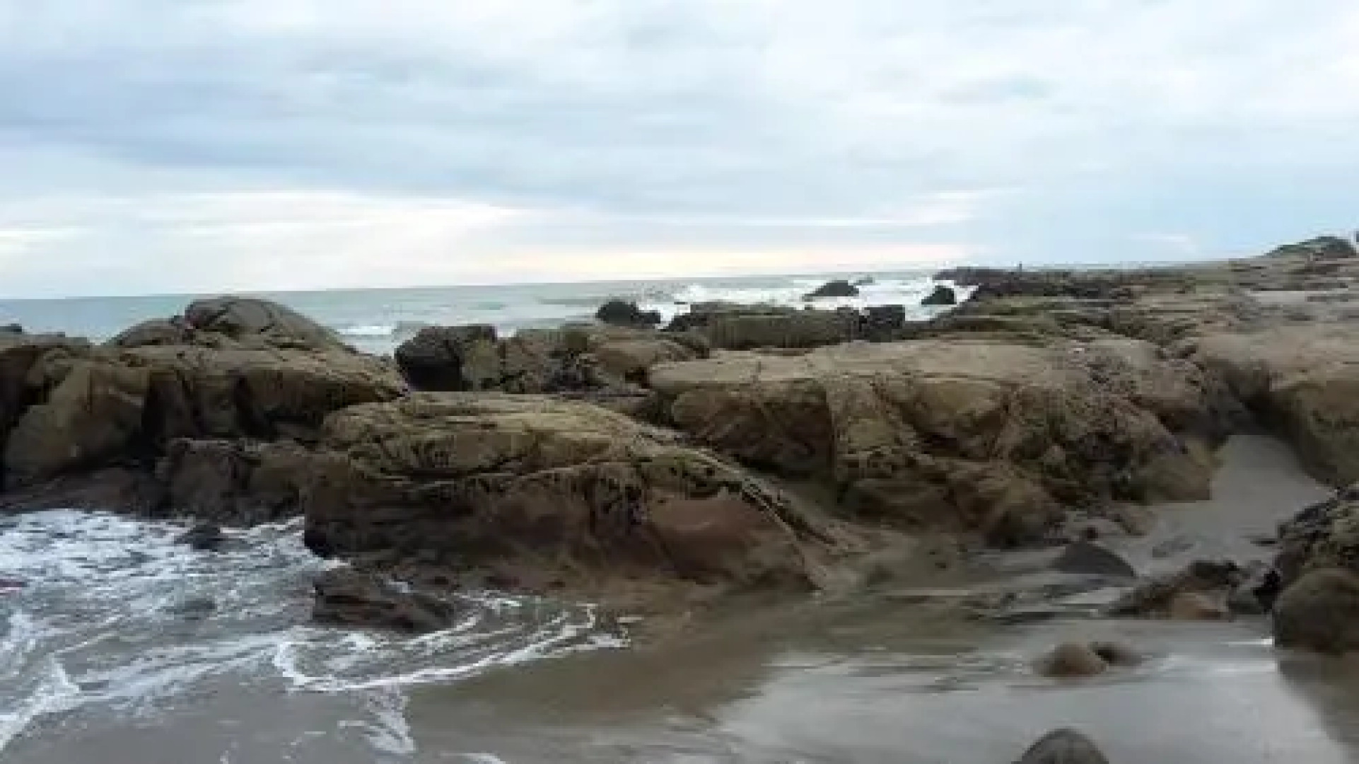 Hostal Las Garzas Del Pelado