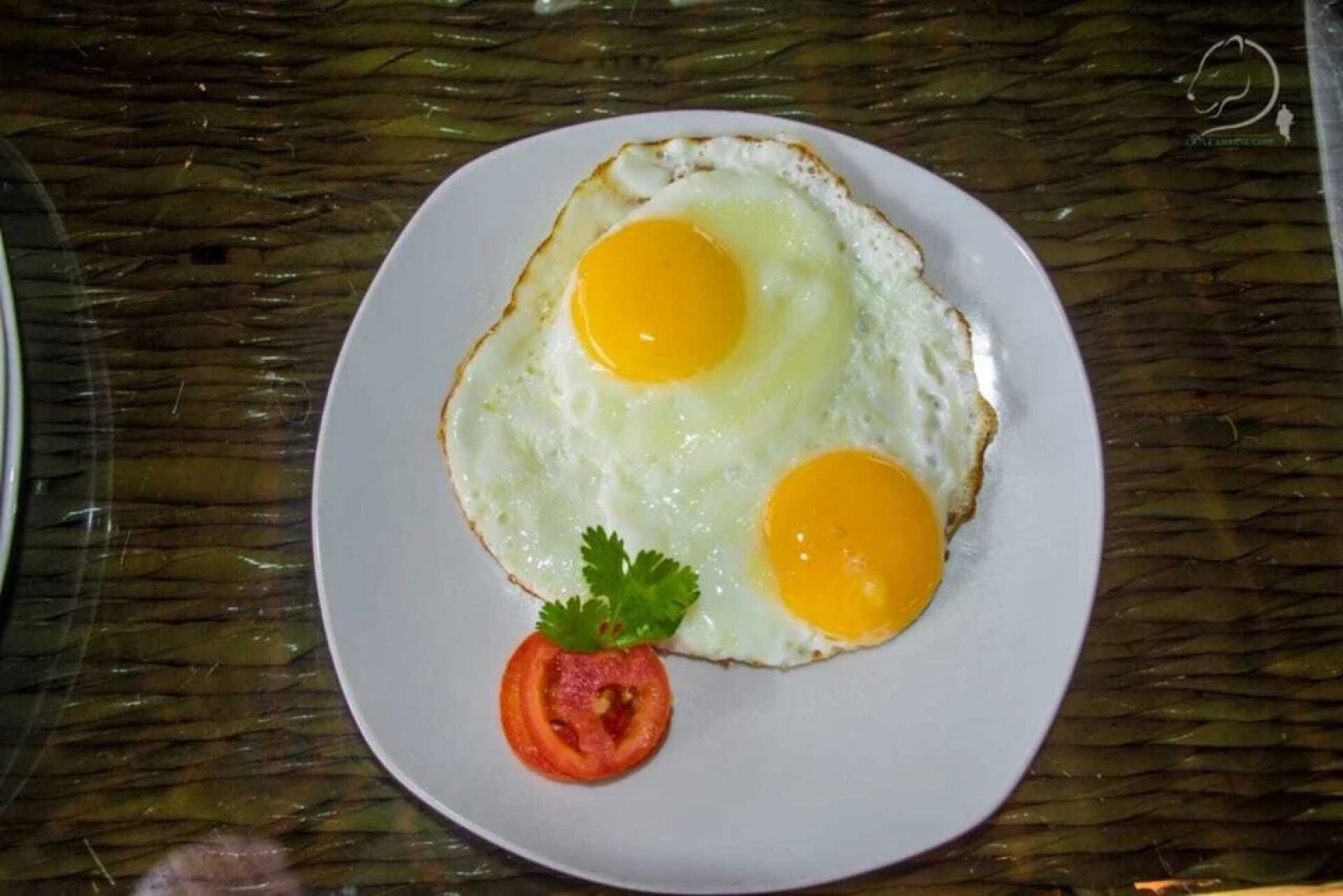 Amanya 1-bed Leopard Family With Mt Kilimanjaro vi - Campsite