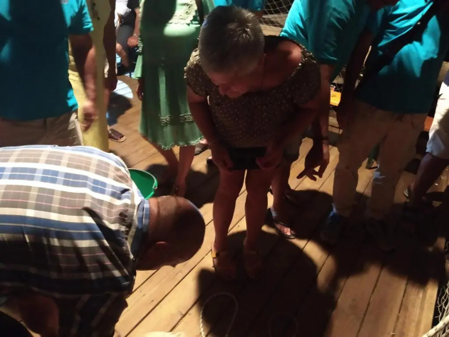 Il Giardino Fra Gli Ulivi