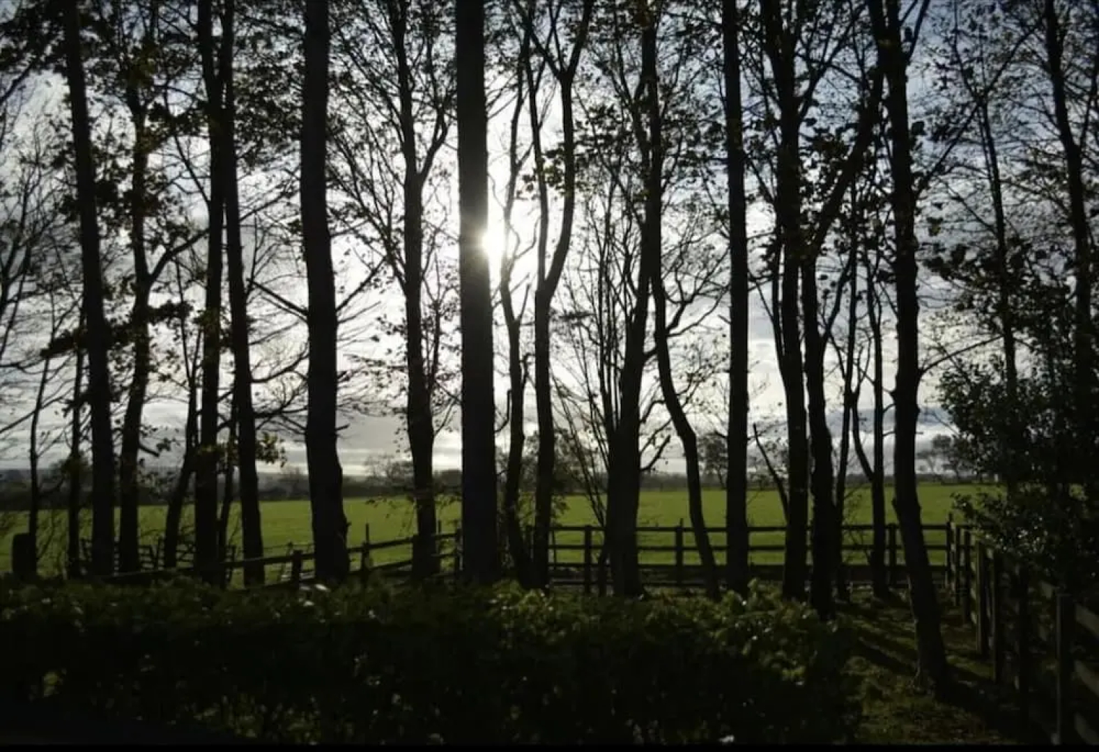 Immaculate 2-bed Lodge in Harrogate